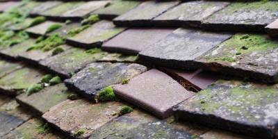 Melchbourne roof repair costs